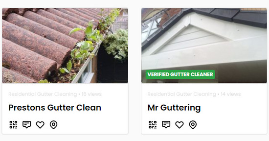 Gutter Cleaning Network  0