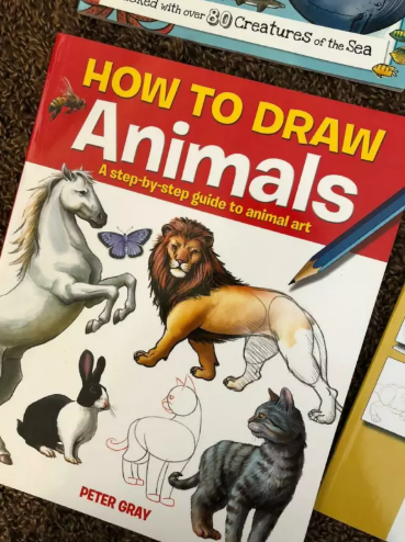 Various How To Draw / Art Books  5