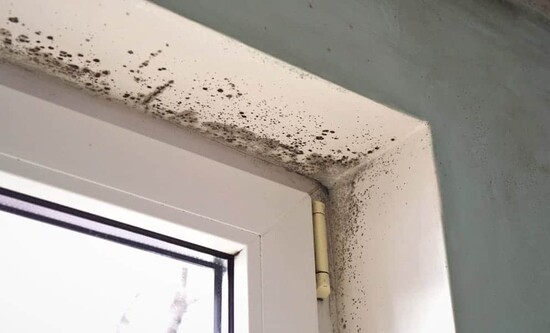 Condensation in Home  0