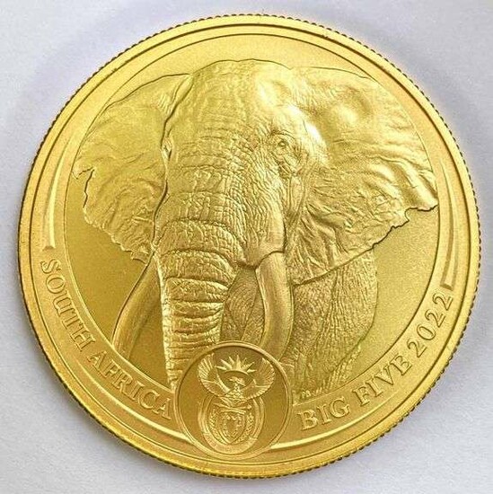 1oz South African Gold   0