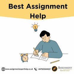 Get the best assignment writing help in the UK from top expert