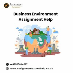Get the Premium Business Environment Assignment Help Services for Your Academic Needs