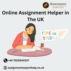 Online Assignment Helper in The UK