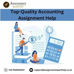 Searching for Top-Quality Accounting Assignment Help