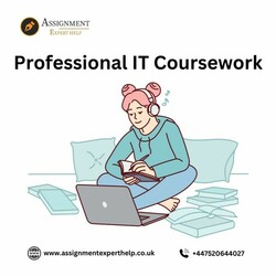 Professional It Coursework Support from Our Experts