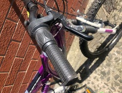 Purple Mountain Bike thumb-21773