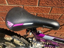Purple Mountain Bike thumb-21775