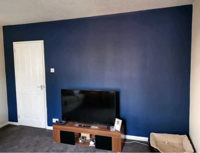 Painting and Decorating Services  3