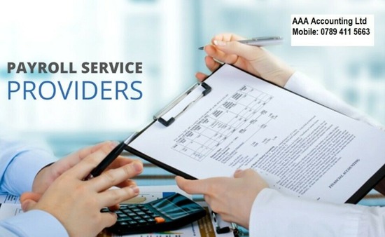 Qualified Chartered Accountants Accountancy Service  1