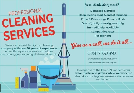 Professional Cleaning Services, Domestic Cleaner  0