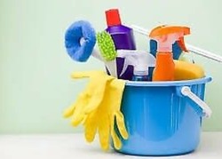 Professional Cleaning Services and Regular House Keeping Services