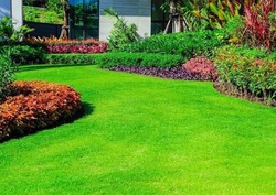 Garden & House Maintenance-Garden & Landscaping Services thumb-24516