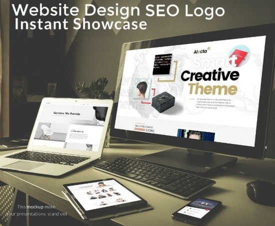 Professional Website Design- SEO, LOGO Design Ecommerce Wordpress  0