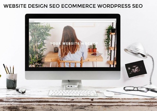 Professional Website Design- SEO, LOGO Design Ecommerce Wordpress  1