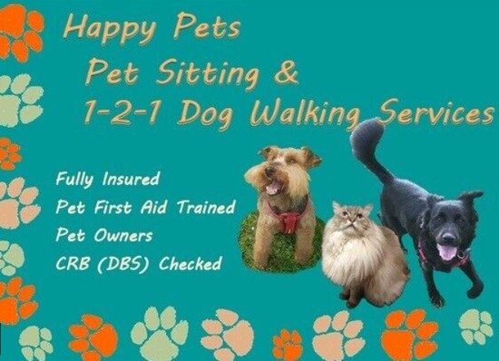 Dog Walking and Pet Sitting Services /Dog Walker, Pet Sitter  0