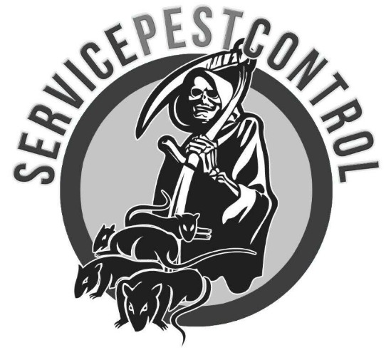 Pest Control Service in North London  0