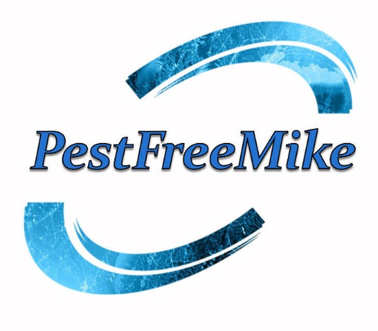 Professional Pest Control Services Wasps Nest Treatments  0