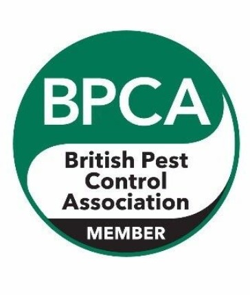 Pest Control Service Glasgow  1