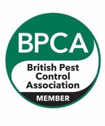 Pest Control Service Glasgow thumb 2