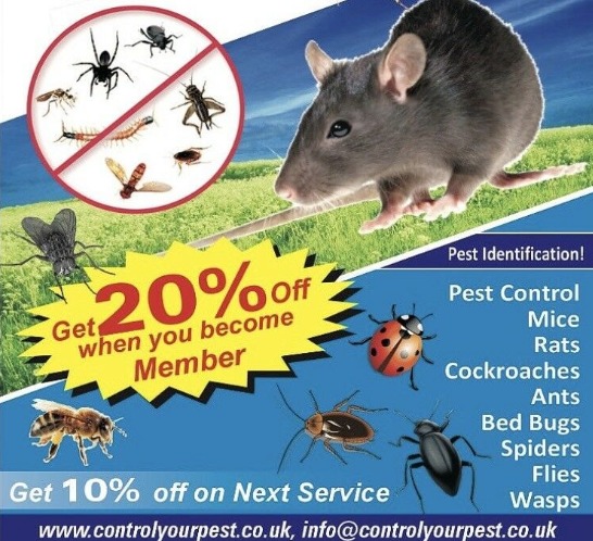 Pest Control - Mice, Rat, Bedbugs  0