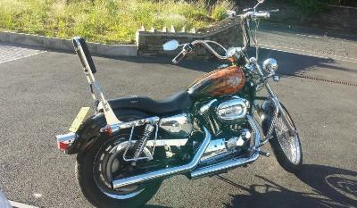  2007 Harley davidson sportster custom