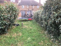 Able Rubbish Removal, House and Factory Clearance and Garden Waste thumb-41868