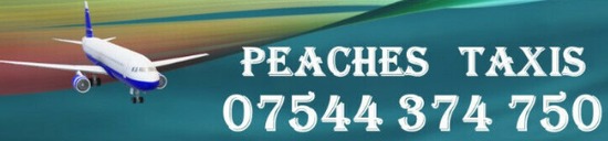 Peaches Airport Taxi Service  0