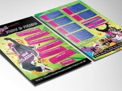 Cheap Flyer / Leaflet Design and Printing Services thumb 8