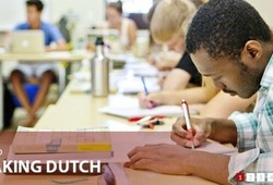Dutch Language Courses, Teacher, Business