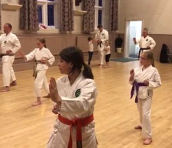Sutemi Shukokai Karate Ryu - Martial Arts thumb-42946