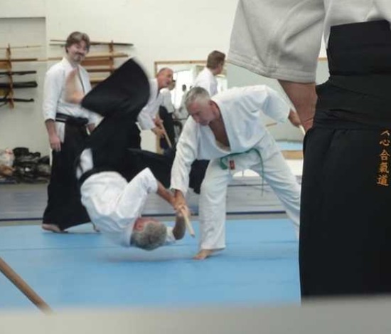 Aikido Martial Art  7