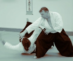 Aikido Martial Art thumb-42954