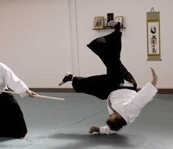 Aikido Martial Art thumb-42953