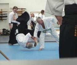Aikido Martial Art thumb 8
