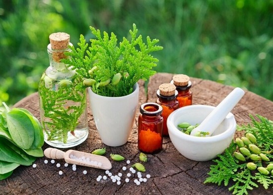 Student Herbal Medicine Clinic Appointments Available   0