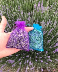 Organic Lavender Floral Water 250ml - Spray (Lavandula Angustifolia) thumb-43415