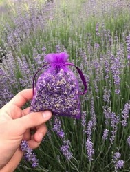 Organic Lavender Floral Water 250ml - Spray (Lavandula Angustifolia) thumb-43414