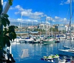 Luxury holiday - Puerto Marina San Miguel, Tenerife thumb 10