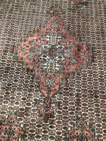 Bukhara Handmade Wool Rug  3