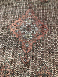 Bukhara Handmade Wool Rug thumb-45081