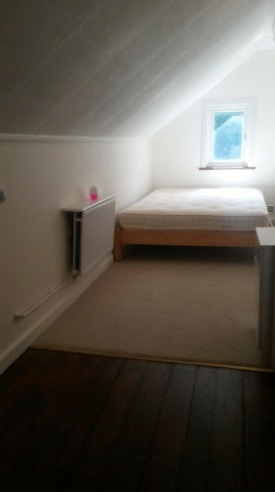 Large 1 Bedroom Flat - Purley  1