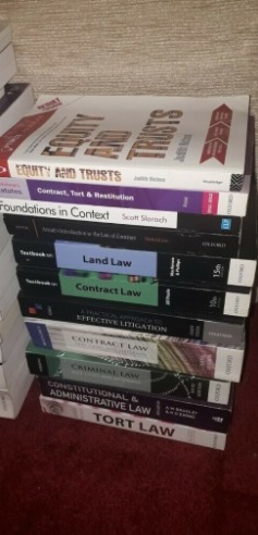 Joblot Legal / Law Textbook Haul Bargain  2