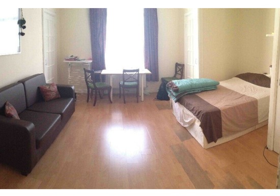 Large and Lovely Studio in W1 - Flat  1