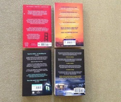 Set of 4 Crime Thriller Novels – All New Editions (2019/2020) thumb-46564