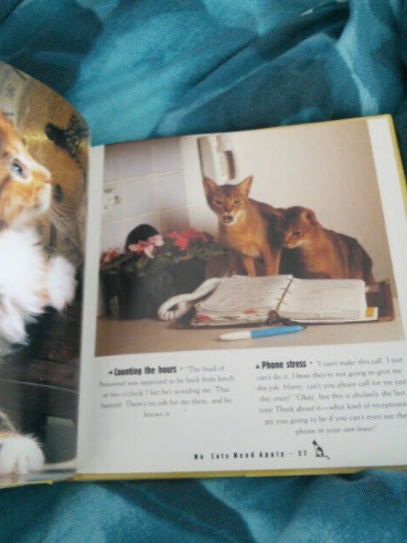 Book Peek at Lifestyle of Unemployed Cats  3