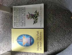 Self Help / Wellbeing / Spiritual Books