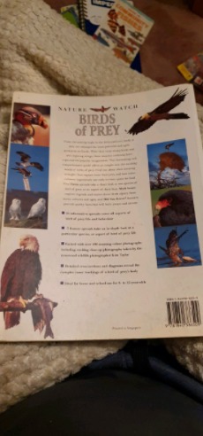 Nature Watch - Birds of Prey  1