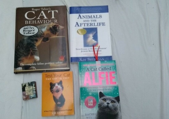 5 Cat Books  0