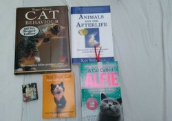 5 Cat Books