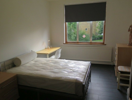A Large Double Room within a House Share  1